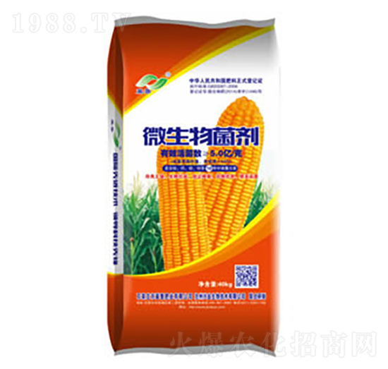 ΢�������-�����ʘI(y��)