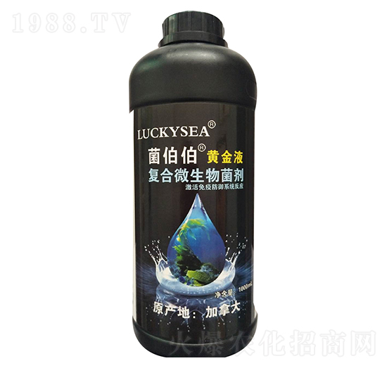 ��(f��)��΢�������-�������S��Һ-��������