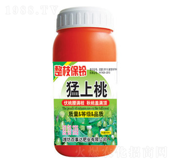 ��֦���������-�����_