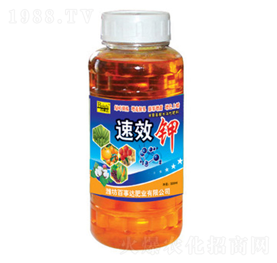 ��Ч�-�����_