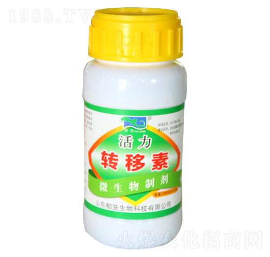 �����D(zhu��n)����-���d����