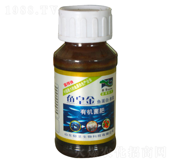 �~�ʽ��ЙC����-���d����