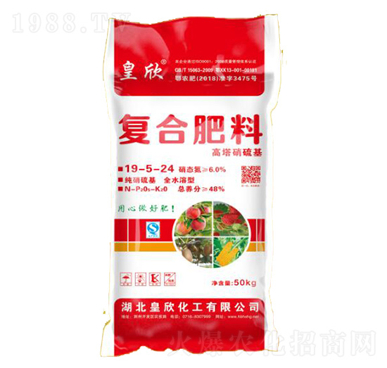 �ͺϷ���19-5-24-��������