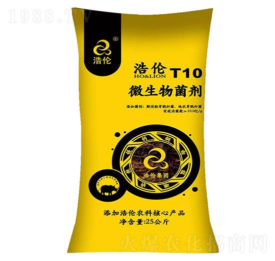 ΢�������T10-�Ƃ�