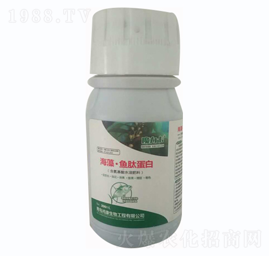 海藻·魚肽蛋白-鴻康生物