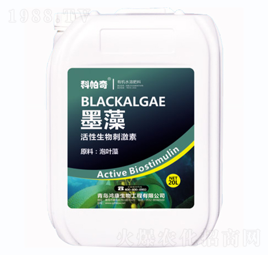 ī��-������-��������