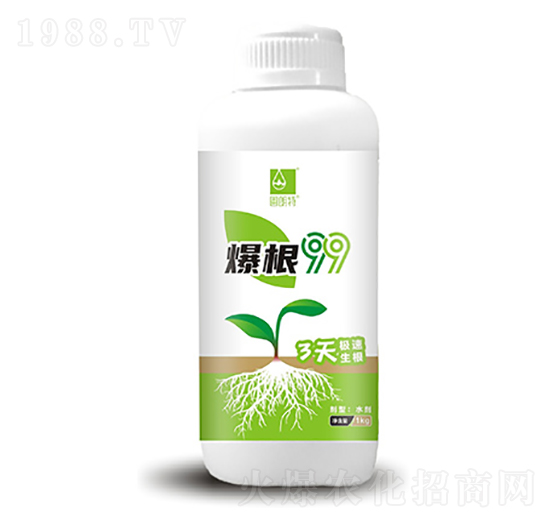 ����99-������