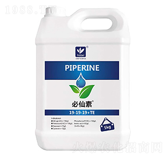 �Zؐ����������19-19-19+TE-������