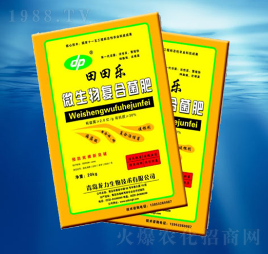 ΢����ͺϾ���-��������