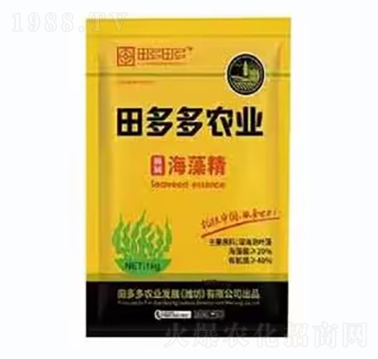 ø�⺣�徫-�����r(n��ng)�I(y��)