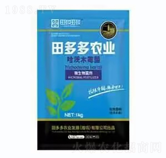 ����ľù��-�����r�I(y��)