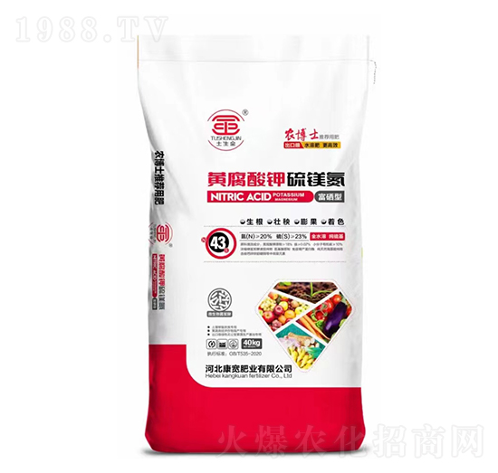 �S��������V��-�����ʘI(y��)