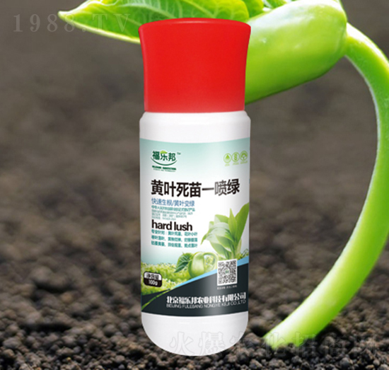 �S�~����һ���G-����(l��)��