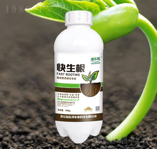 快生根-福樂邦