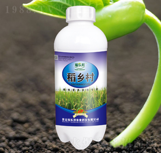 稻鄉(xiāng)村-福樂邦