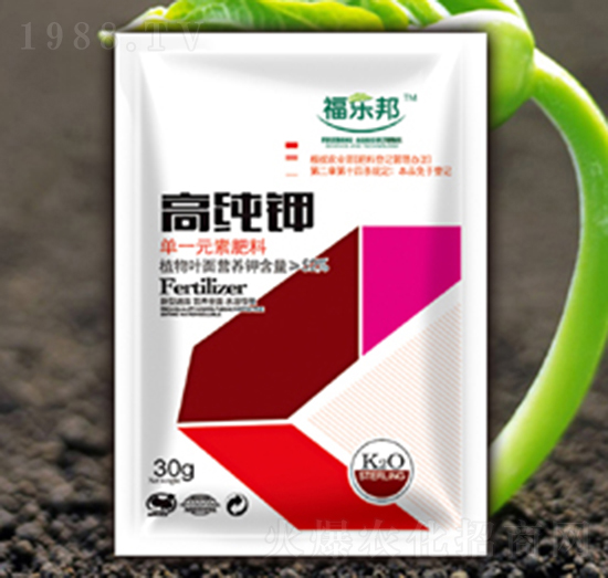 �߼��-������