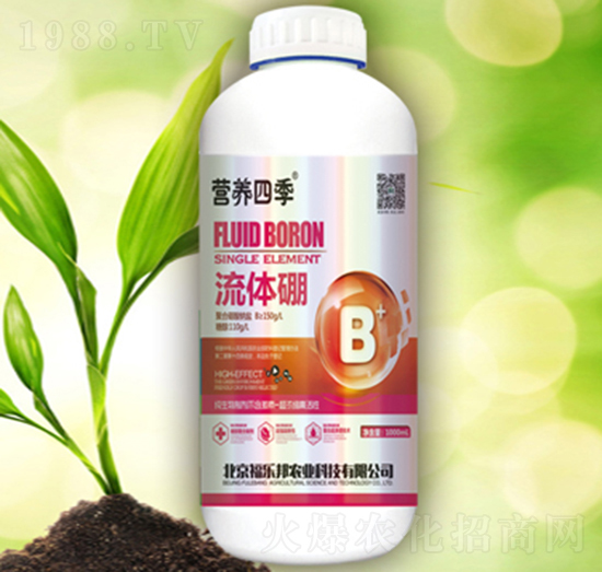 �I(y��ng)�B(y��ng)�ļ����w��-������