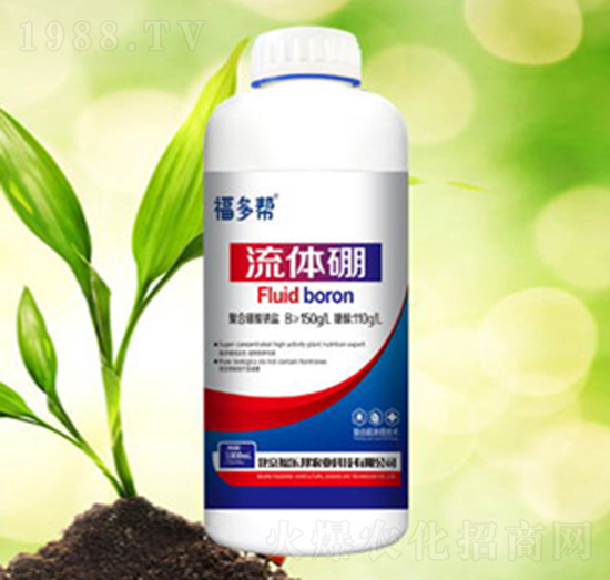 ������-���w��-������