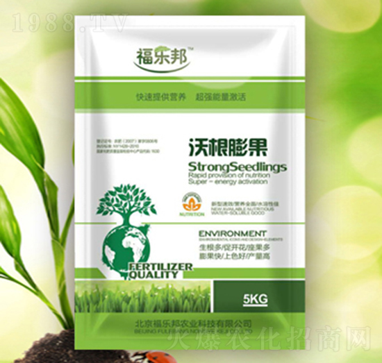 �ָ����-����(l��)��