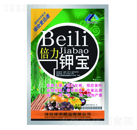 ����⛌�-����ʘI(y��)