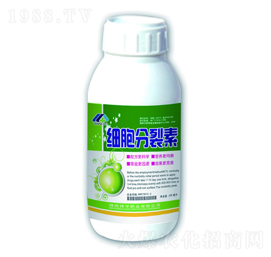 ��(x��)��������-����ʘI(y��)