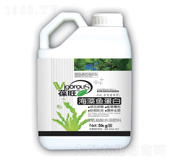 �����~����-����-����ʘI(y��)