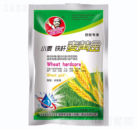 小麥鐵桿麥黃金-四季豐