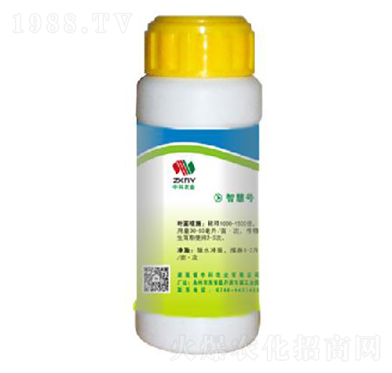 �~����-�п��r�I(y��)