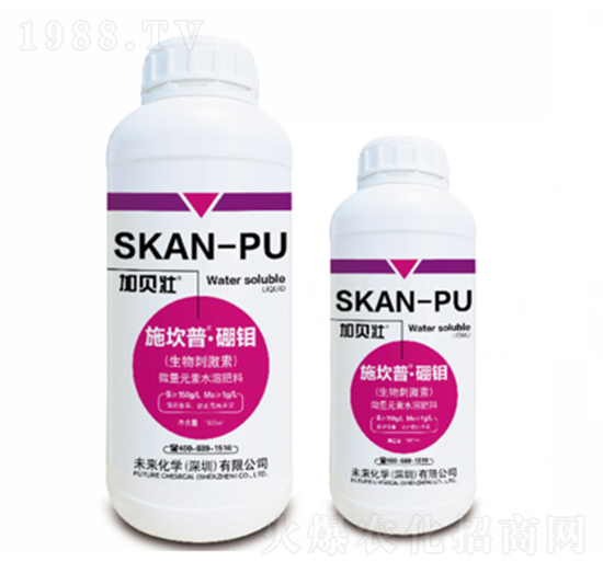 ʩ����-���f-δ�����W(xu��)