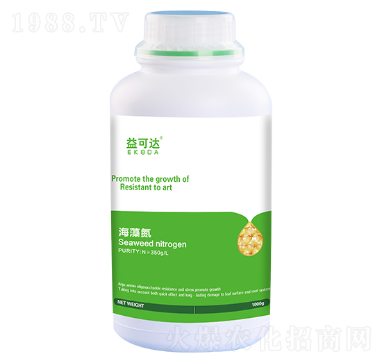 ���嵪-����_(d��)-�к̄���