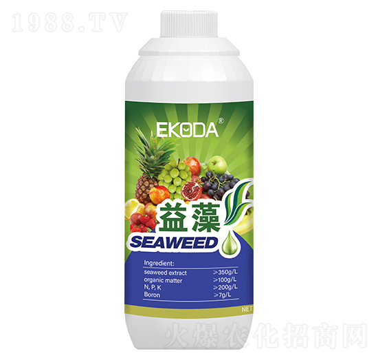 ����-����_(d��)-�к̄�(d��ng)��