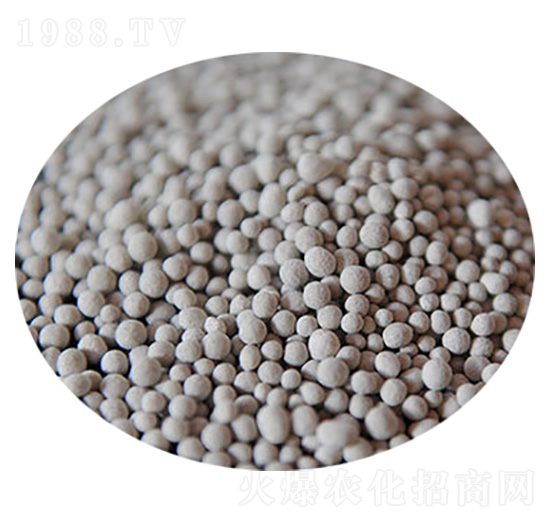 ���}�V��-�R�񻯹�