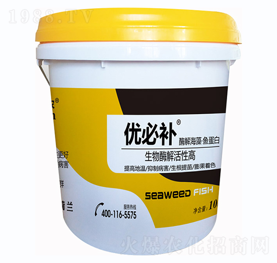 酶解海藻魚蛋白-優(yōu)必補-鑫垚生物
