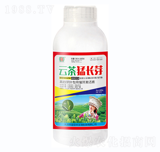 云茶猛長芽瓶-金田豐