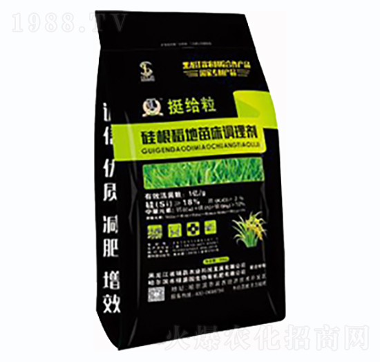 ͦ�o����������紲�{�턩-�T���r�I(y��)