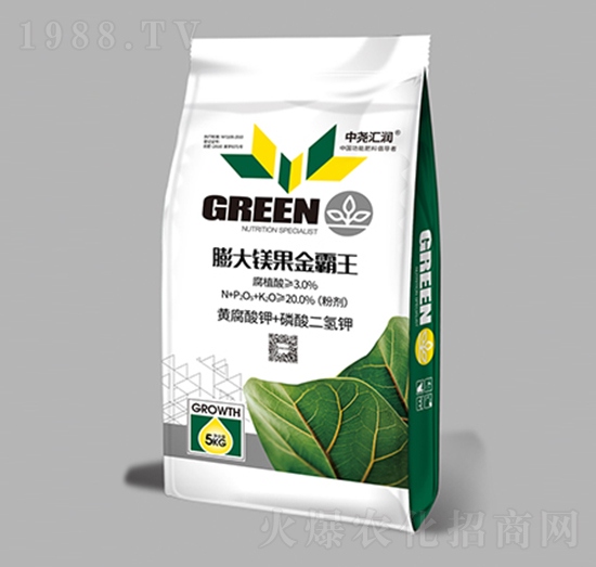 ����V�������-�Ј�R��