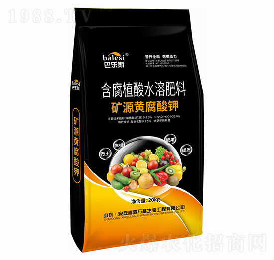 �VԴ�S�����-�͘�˹-�����f��