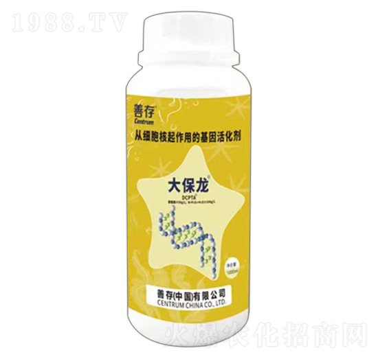 ����-�ƴ�����