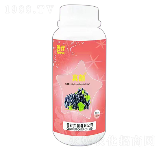 ����~���-�ƴ�����