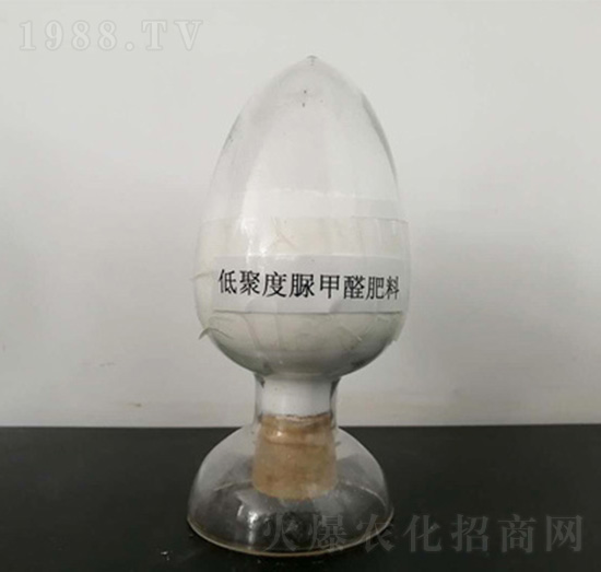 �;۶����ȩ����-�п�