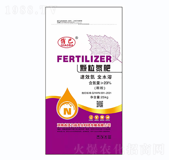 �w������-�ΰ�-������