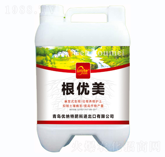 ����(y��u)��-��(y��u)�{��