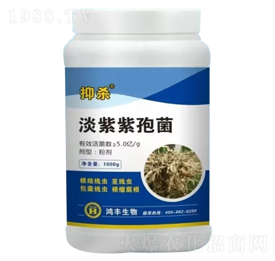 �������߾�-�֚�-���S����