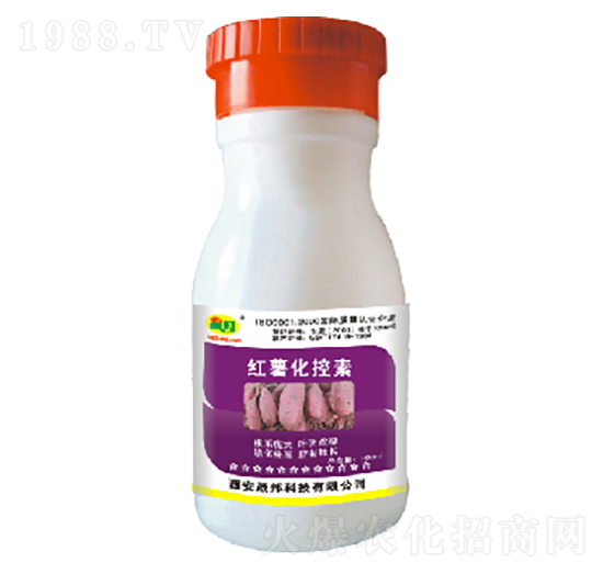 �t��������-�ɰ�����