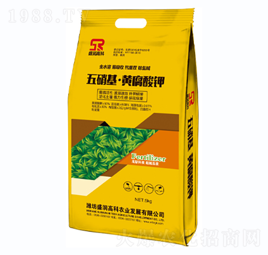 ���������S�����-ʢ���߿�