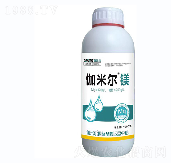 ٤�נ��V-�_˼ķ