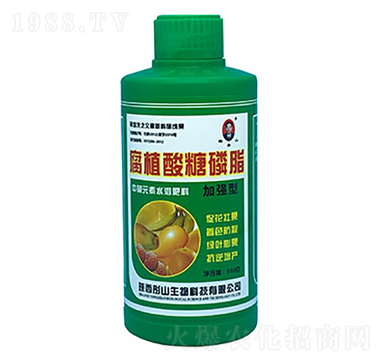 �ӏ��͸�ֳ������֬-ͮɽ����