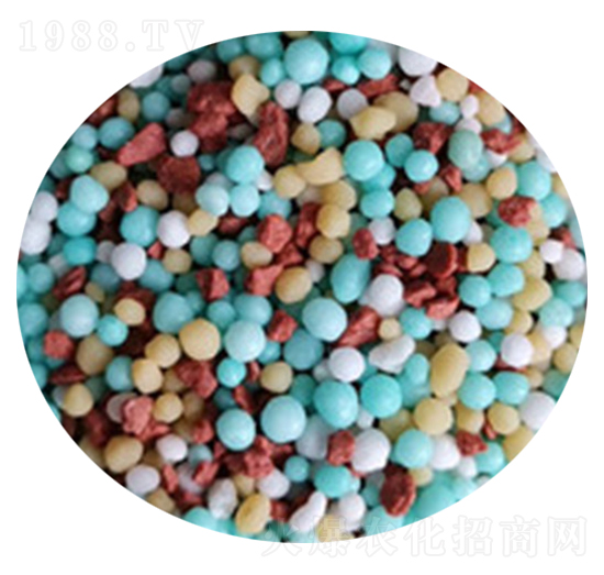 �D����ɒ��A�Ȼ��@�w����-���r����