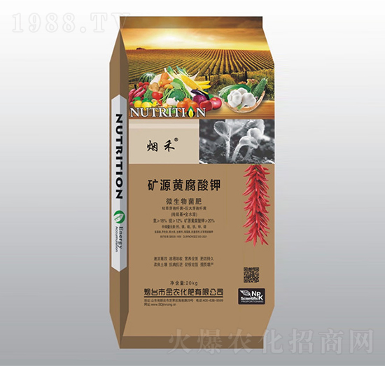 �VԴ�S�����-���r����