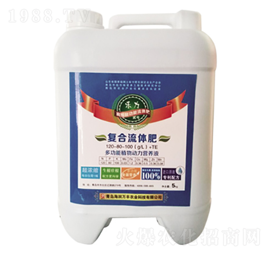 ��(l��)���E̖(h��o)��(f��)�����w��-����(r��n)�f(w��n)�S